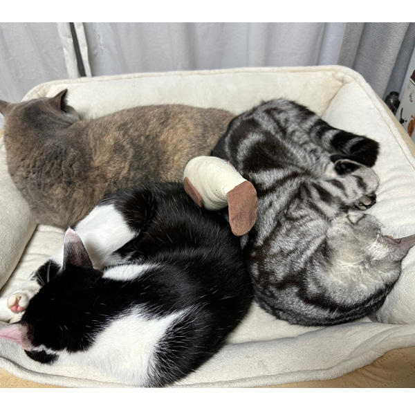 皆さんの後ろに映り込むtamaの10周年記念缶♪おいしく食べてくださりありがとうございます。