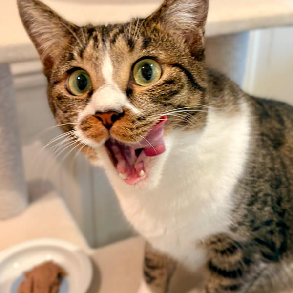 1歳おめでとう!食べ飽きないで食べて、ずっと元気に過ごそうね♪