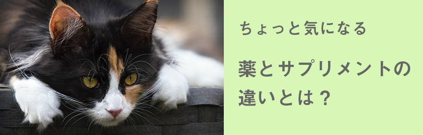 猫のサプリメントと「薬」の違いとは？サプリメントを与えるタイミングを考えよう	