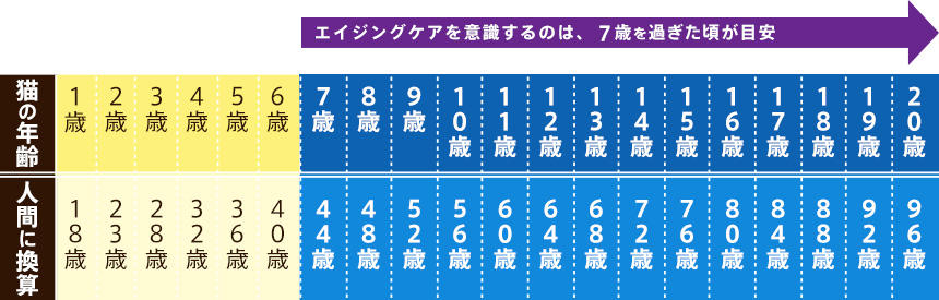 猫と人間の年齢の目安（エイジングケアを意識するのは、７歳を過ぎた頃が目安）／参考：獣医師広報板