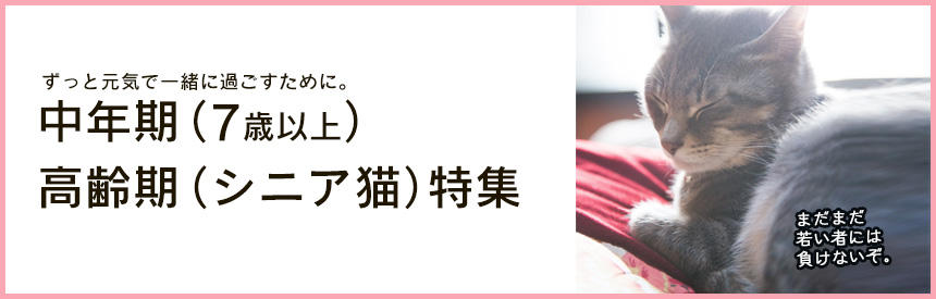 ずっと元気で一緒に過ごすために。中年期（7歳以上）・高齢期（シニア猫）特集