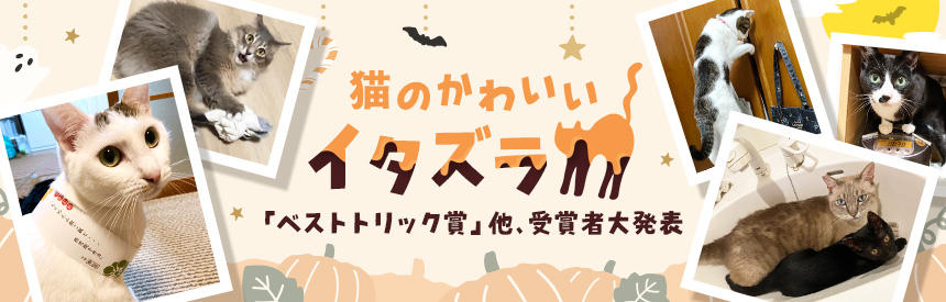 【発表】ハッピーハロウィン◎かわいいイタズラ「ベストトリック賞」&「ナイストリック賞」発表