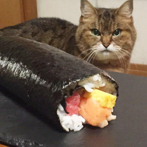 だって、猫もおいしいものが大好きですから。