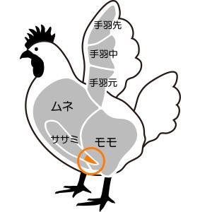 やげん軟骨はささみの先にある軟骨で、肉もついていて柔らかいのが特長です。